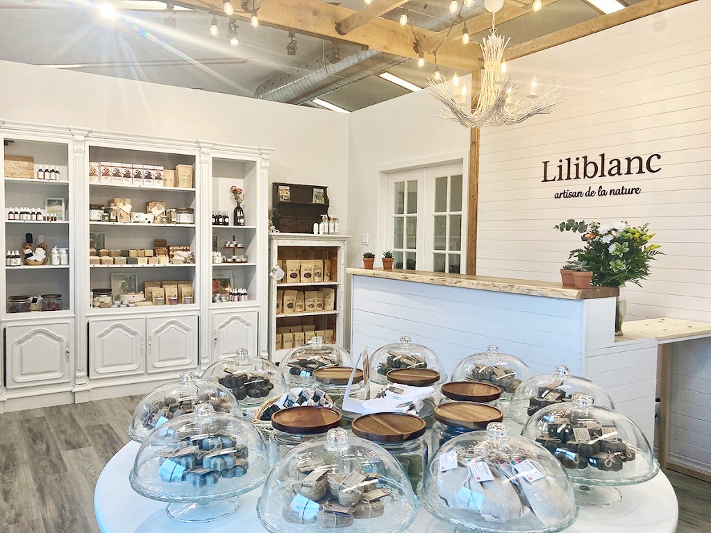 Liliblanc | 978 Rue Labelle, Saint-Jérôme, QC J7Z 5N2, Canada | Phone: (450) 848-9263