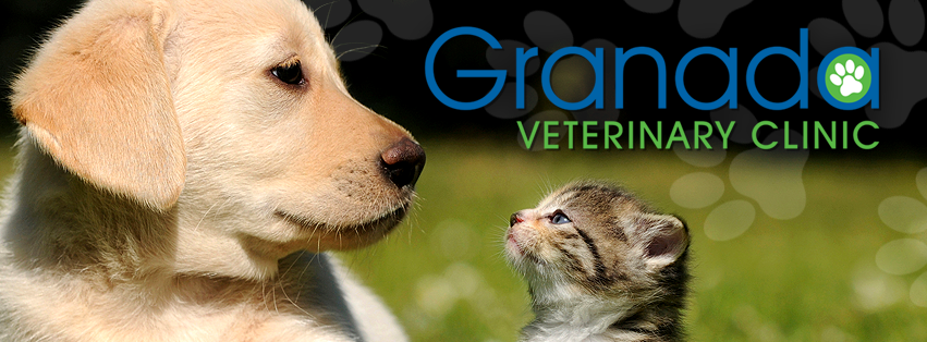 Granada Veterinary Clinic Ltd | 101 Granada Blvd #304, Sherwood Park, AB T8A 4W2, Canada | Phone: (780) 464-1287