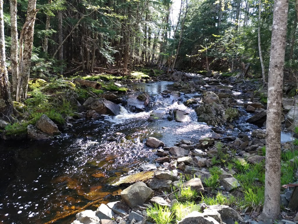 Rawdon Gold Mine | Renfrew Rd, Upper Rawdon, NS B0N 2N0, Canada