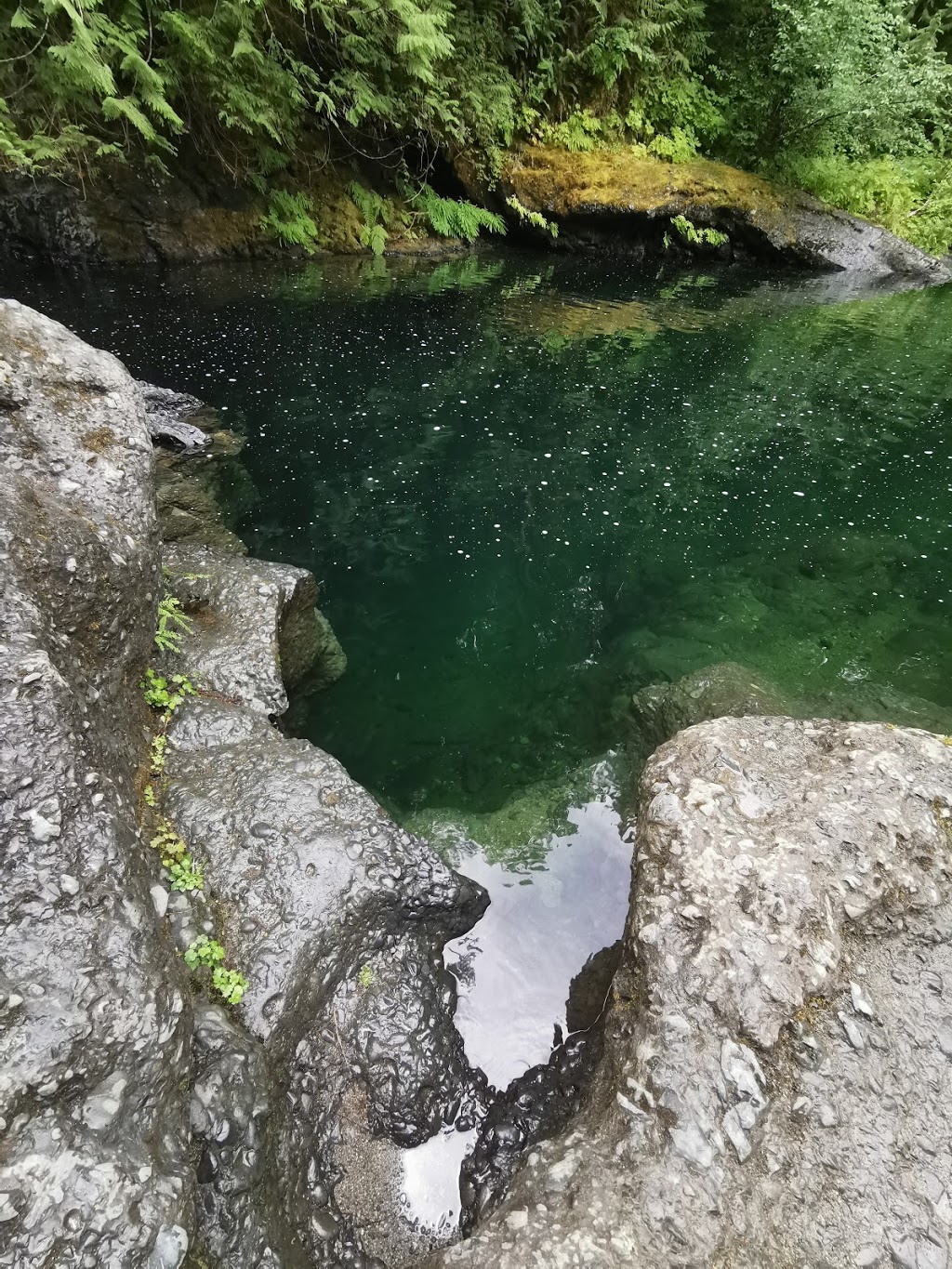 Englishman River Falls (Lower Falls) | Nanaimo F, BC V0R 1V0, Canada | Phone: (250) 474-1336