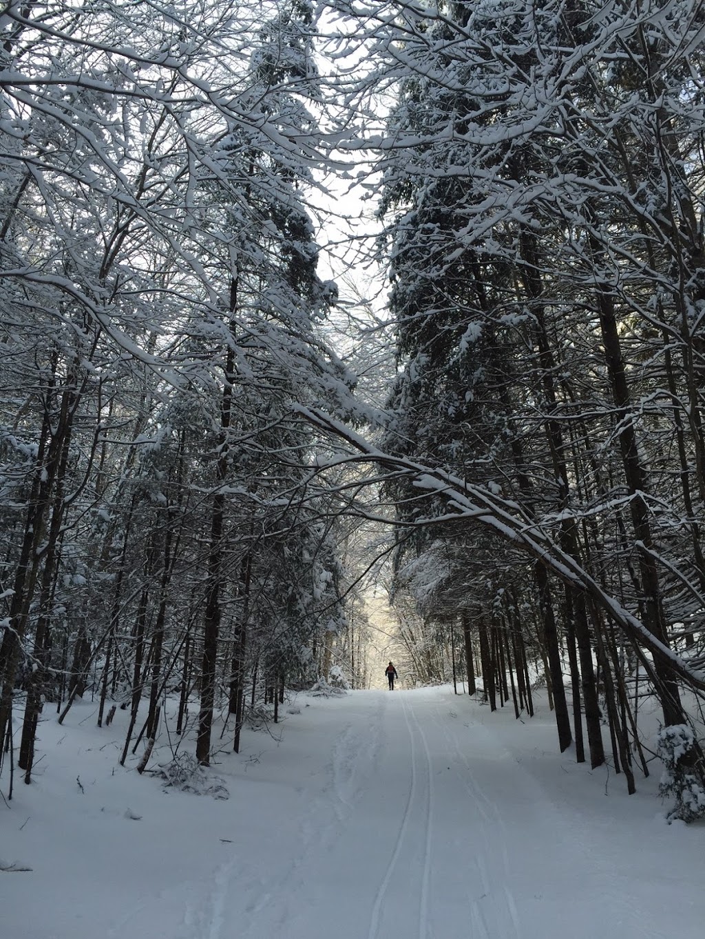 Nakkertok North | Val-des-Monts, QC J8N 4G1, Canada