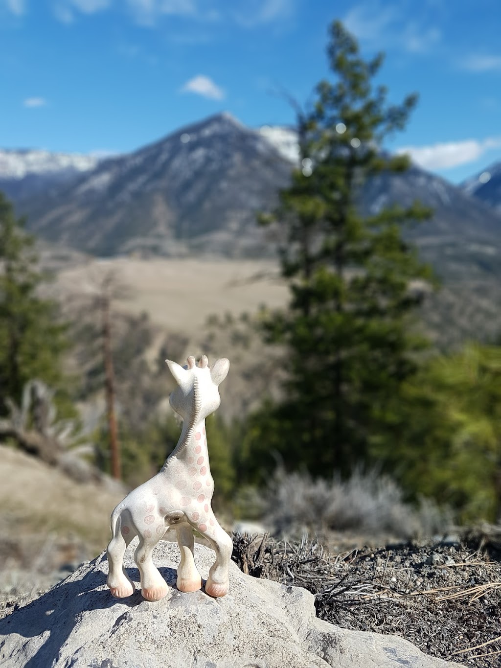 Lillooet Tribal Council | 650 Industrial Pl, Lillooet, BC V0K 1V0, Canada | Phone: (250) 256-7523