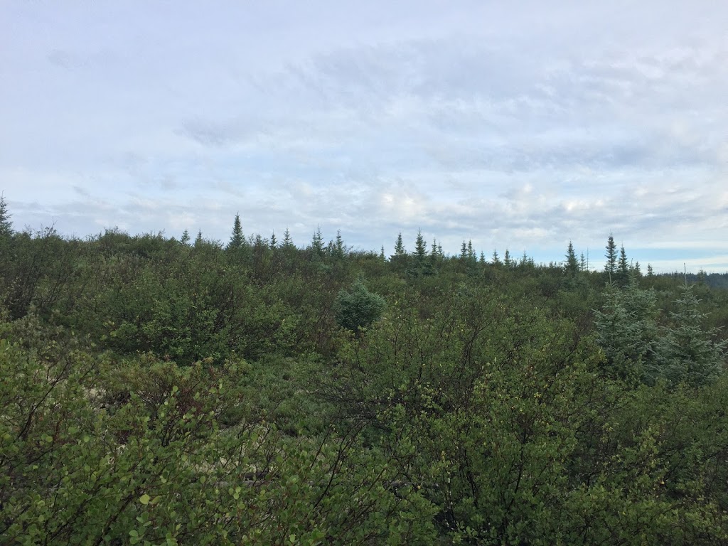 Lac arthabaska parc des grand jardins PÊCHE | Chemin du Lac Ste Anne, Saint-Urbain, QC G0A 4K0, Canada | Phone: (418) 456-4846