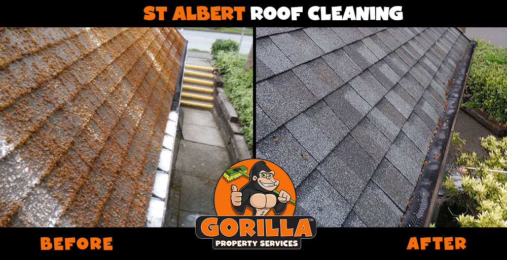 Gorilla Property Services | 8 Lynx Cl #23, St. Albert, AB T8N 5T2, Canada | Phone: (780) 851-7213