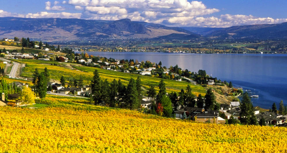 PropertyGuys.com Kelowna | 2202 Bennett Rd #2, Kelowna, BC V1V 2C2, Canada | Phone: (250) 826-6532