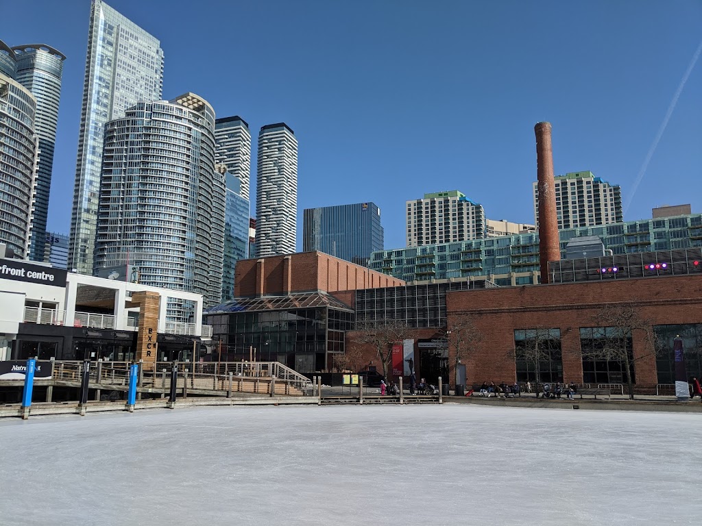 Harbourfront Centre Natrel Rink | 235 Queens Quay W, Toronto, ON M5J 2G8, Canada | Phone: (416) 973-4000