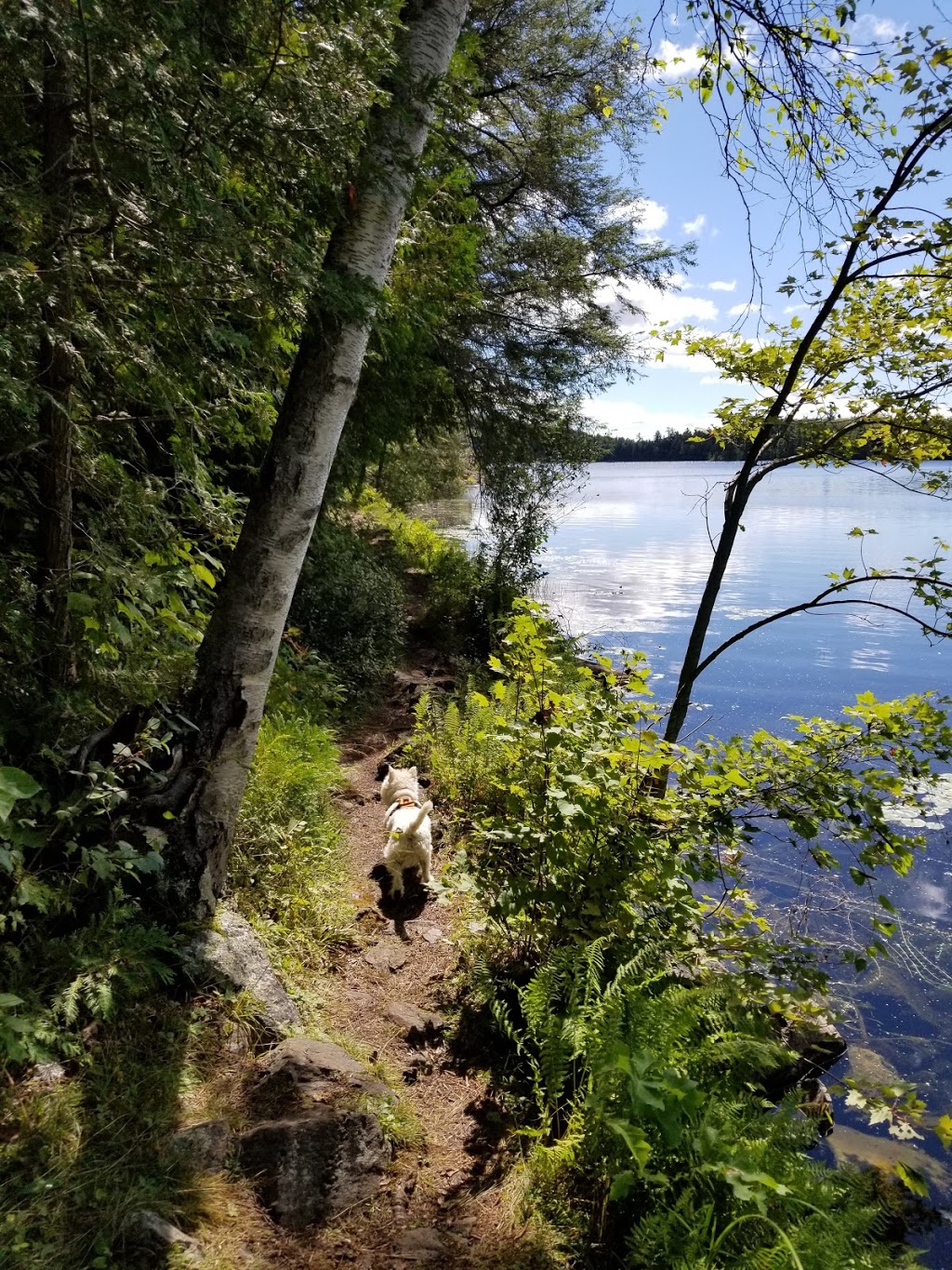 Sharbot Lake Provincial Park | 25467 ON-7, Sharbot Lake, ON K0H 2P0, Canada | Phone: (613) 335-2814