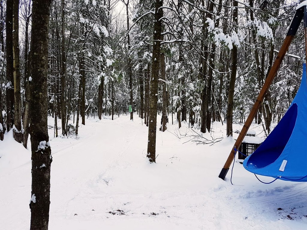 Espace Tonik | 658 Rang de la Vallée, Sainte-Julie, QC J0L 0N0, Canada | Phone: (514) 777-8091