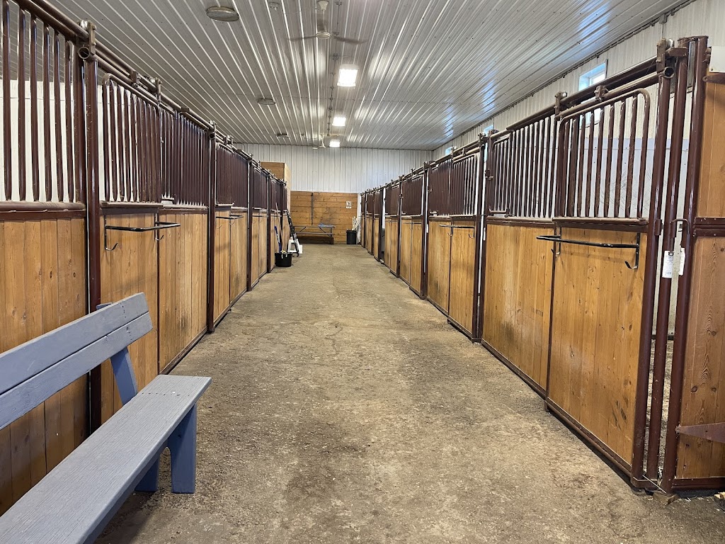 Amethyst Equine Connections | 51341 Range Rd 210, Sherwood Park, AB T8G 1G1, Canada | Phone: (780) 686-3423