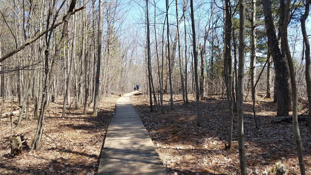 Sarsaparilla Trail | Old Richmond Rd, Nepean, ON K2H 8Y3, Canada