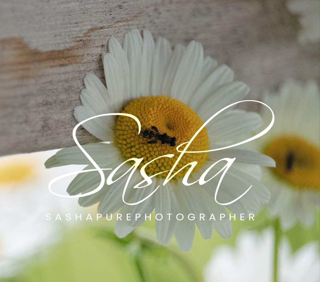 Sashapurephotography | 7 Fred Cooper Way, Sutton, ON L0E 1R0, Canada | Phone: (905) 960-1907