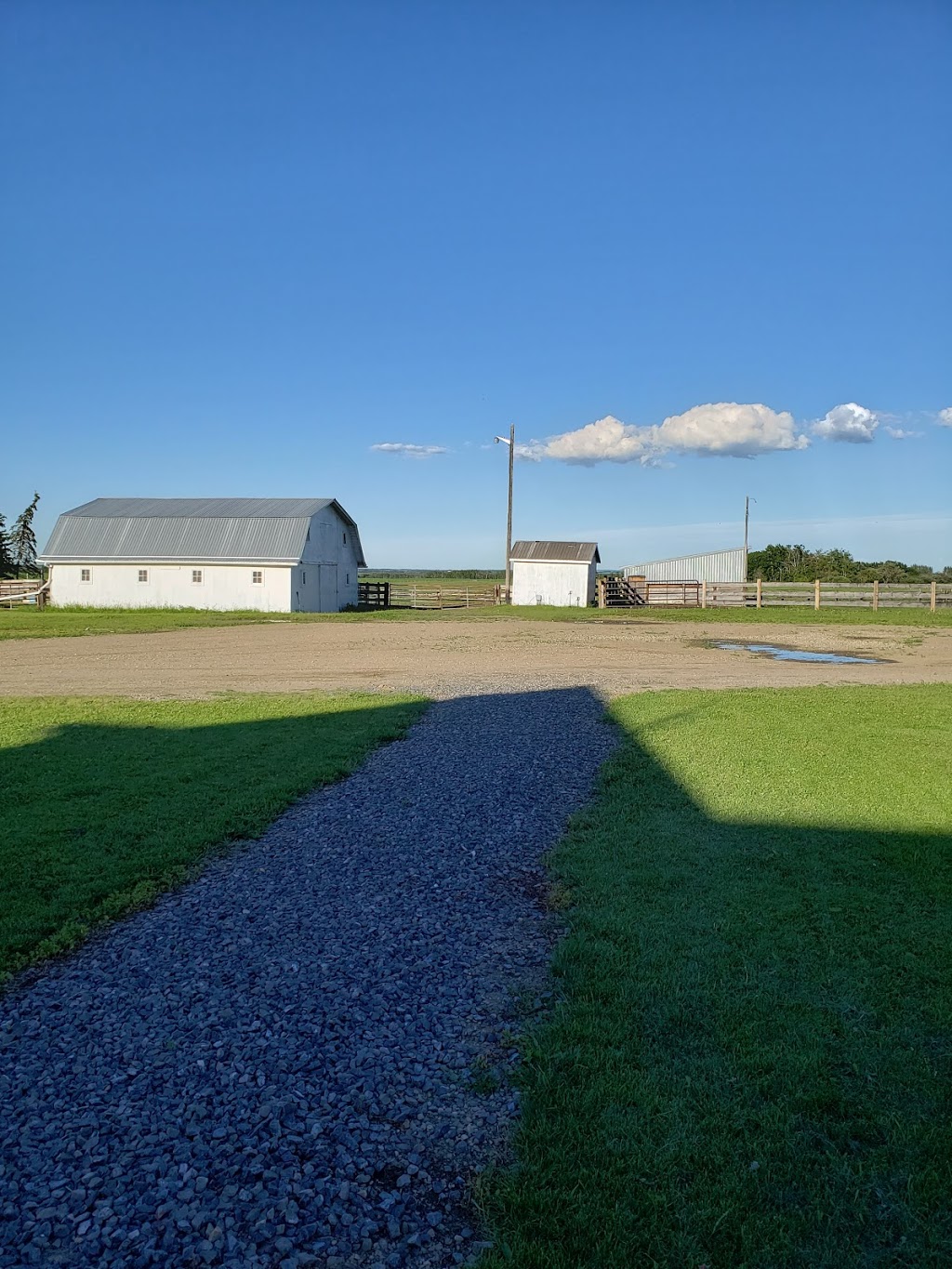 Positive Equine Stables | 36303, Range Rd 24, Red Deer County, AB T4G 0J9, Canada | Phone: (403) 848-4952