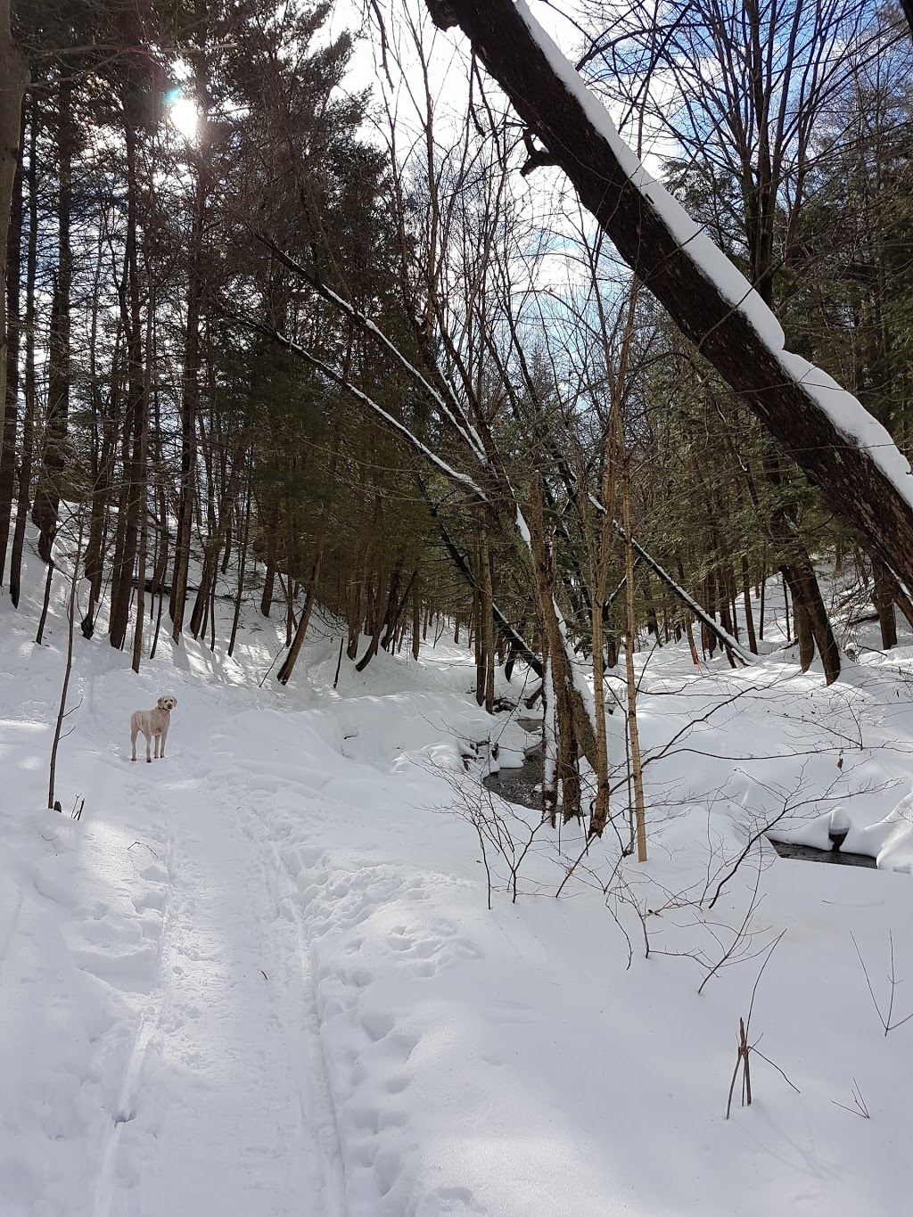 Parc écologique de la Coulée | Terrebonne, QC J6X 1W1, Canada