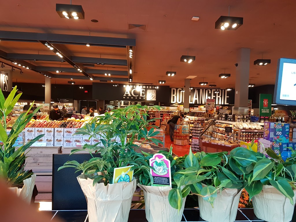 Provigo | 7777 Boulevard Guillaume-Couture, Lévis, QC G6V 6Z1, Canada | Phone: (418) 837-5496