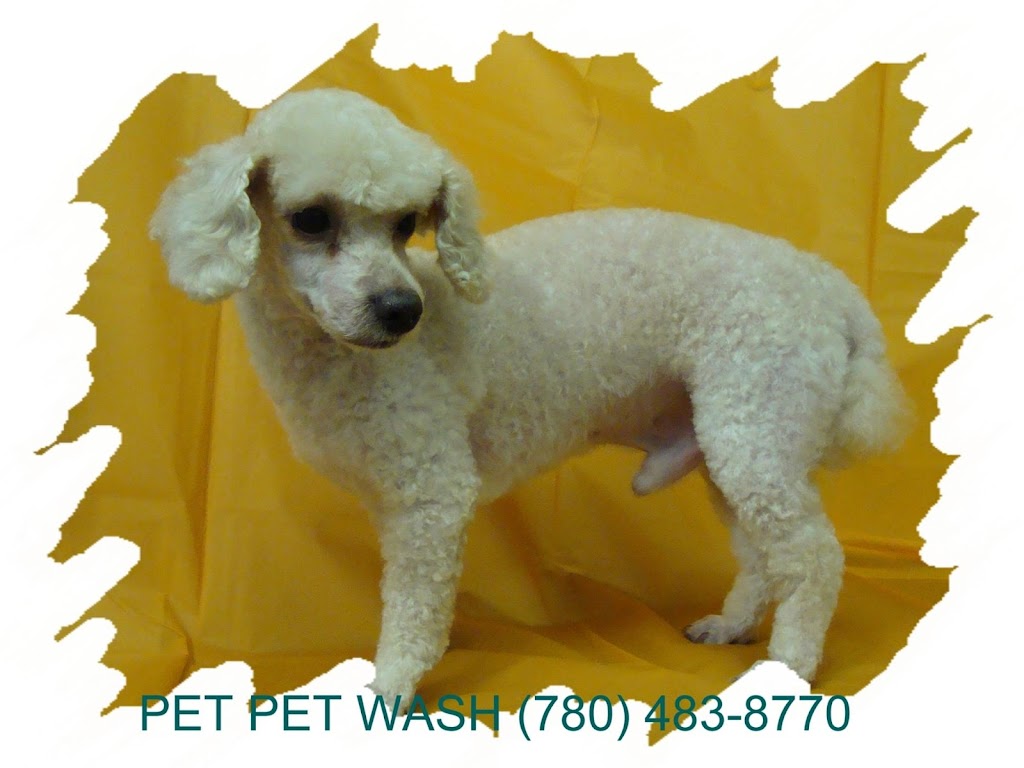 Pet Pet Wash Professional Dog Grooming Ltd | 15622 112 Ave NW, Edmonton, AB T5M 2W1, Canada | Phone: (780) 483-8770