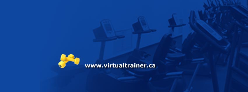 Virtual Trainer Fitness | 78 Apricot St, Markham, ON L3T 1C8, Canada | Phone: (416) 803-1861