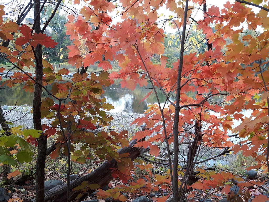 Parc du Domaine Etchemin | St-Romuald, Levis, QC G6V 3W9, Canada