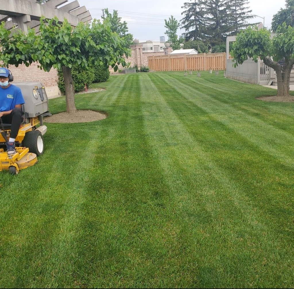 Grass Guys | 168 Beechnut Rd, Woodbridge, ON L4L 6T6, Canada | Phone: (647) 334-5296