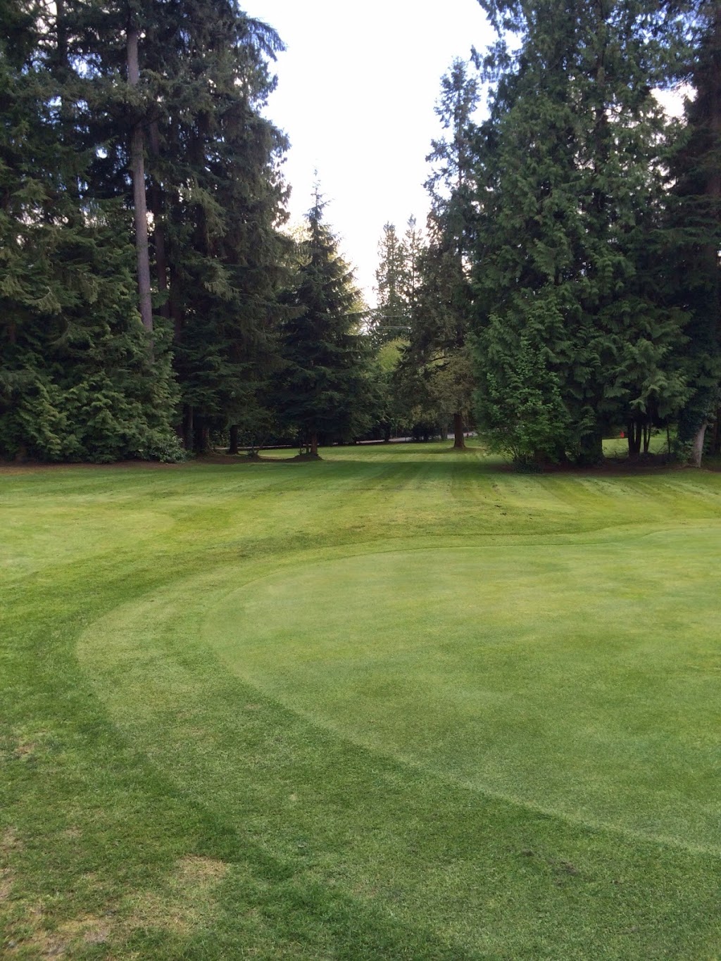 Cruse Control Golf Management | 2699 Pemberton Ave, North Vancouver, BC V7R 3X4, Canada | Phone: (604) 904-9970