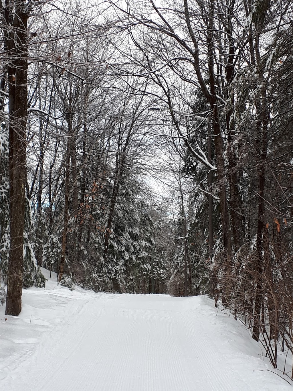 Parc Courcival | Rue Courcival, Québec, QC G1C 7H8, Canada