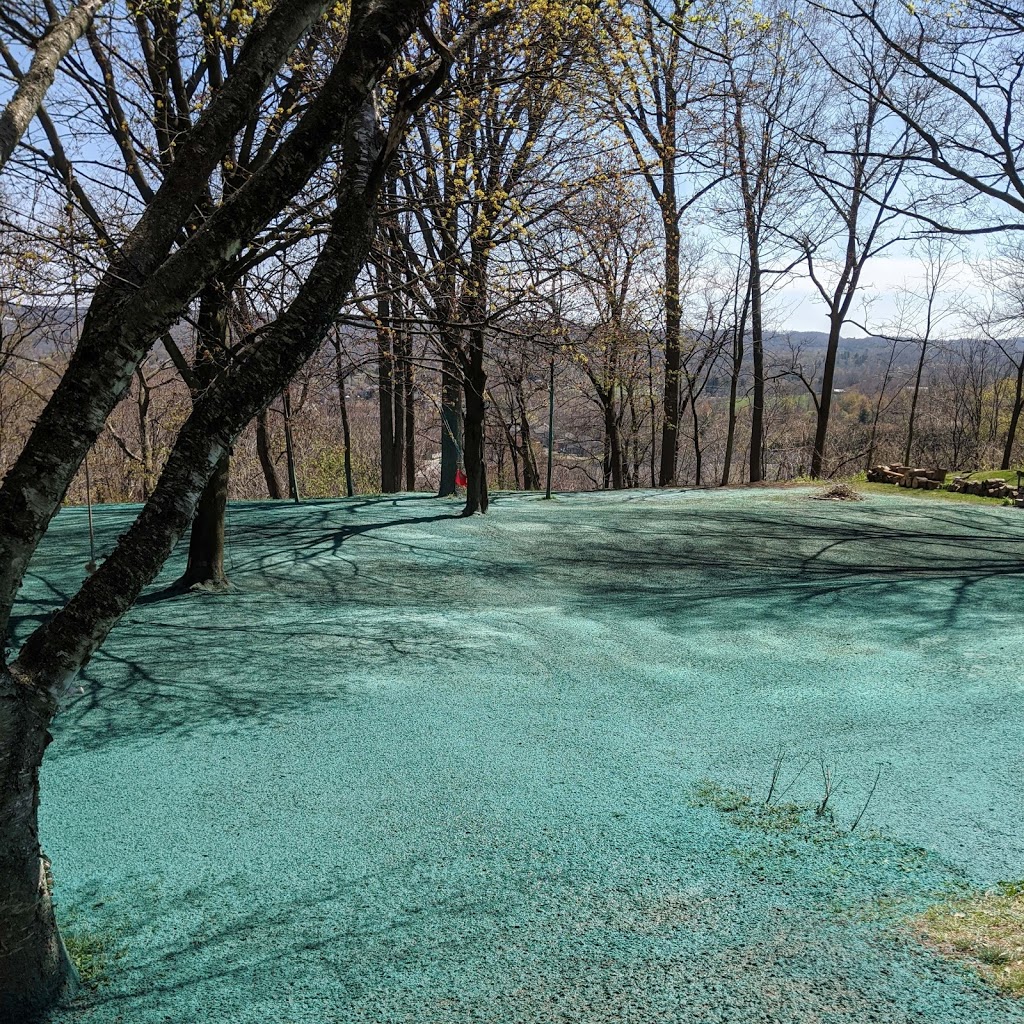 SouthWest Hydroseeding | Colborne St W, Brantford, ON N3T 1P9, Canada | Phone: (519) 732-0922