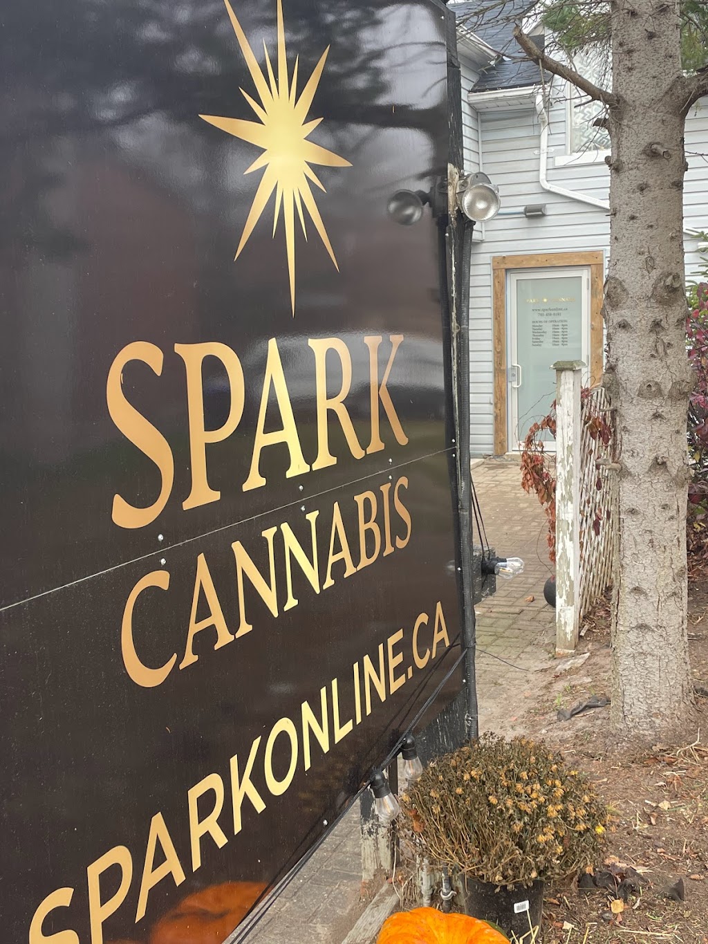 Spark Cannabis Cookstown | 12 Queen St, Cookstown, ON L0L 1L0, Canada | Phone: (705) 458-0191