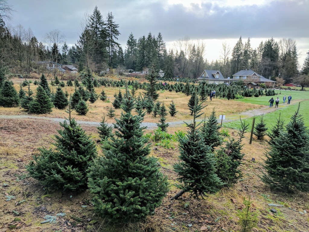 Alouette Tree Farm Ltd | 23083 132 Ave, Maple Ridge, BC V4R 0A8, Canada | Phone: (604) 467-0100