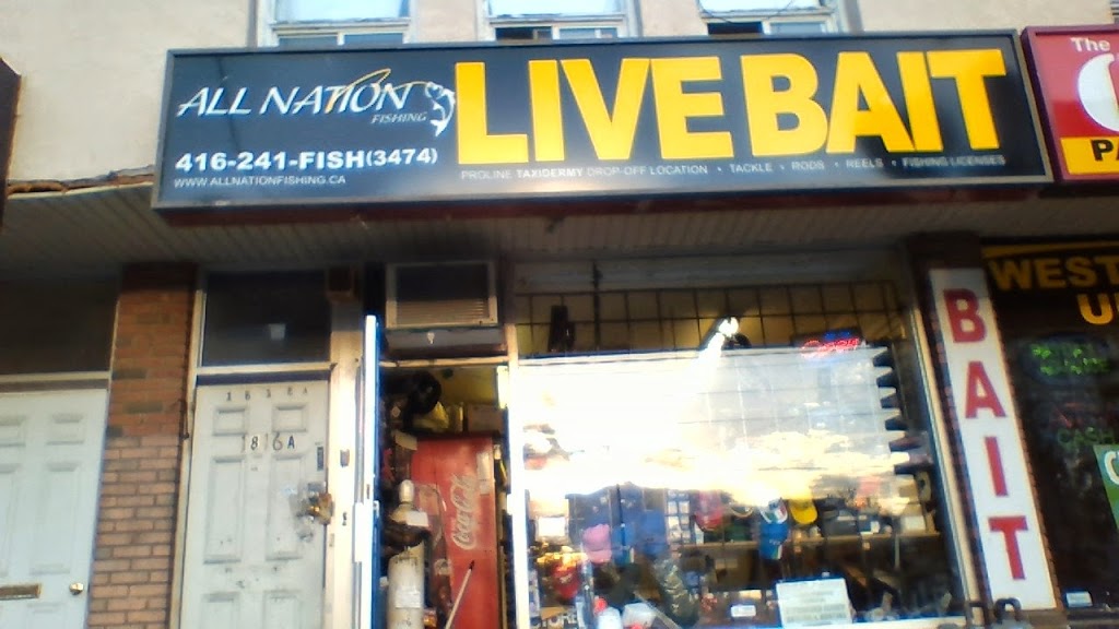 All Nation Fishing Shop - Live Bait & Fishing Tackle Toronto | 1816 Jane St, York, ON M9N 2T3, Canada | Phone: (416) 241-3474