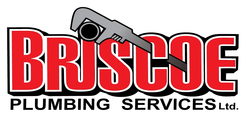 Briscoe Plumbing Services | 224 Hanna Ave, Capreol, ON P0M 1H0, Canada | Phone: (705) 858-1100