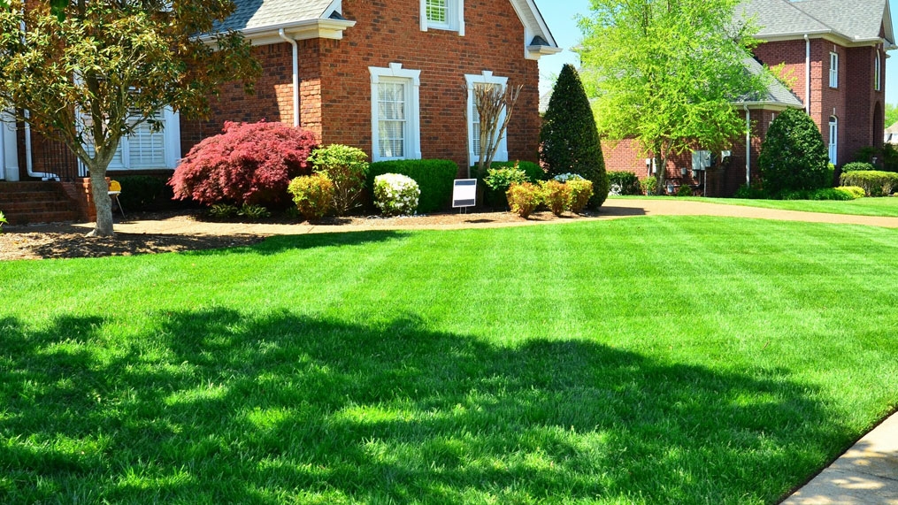 Leave It To Us Lawn Care | 121 Monarch Rd, Lindsay, ON K9V 4R2, Canada | Phone: (705) 928-5323