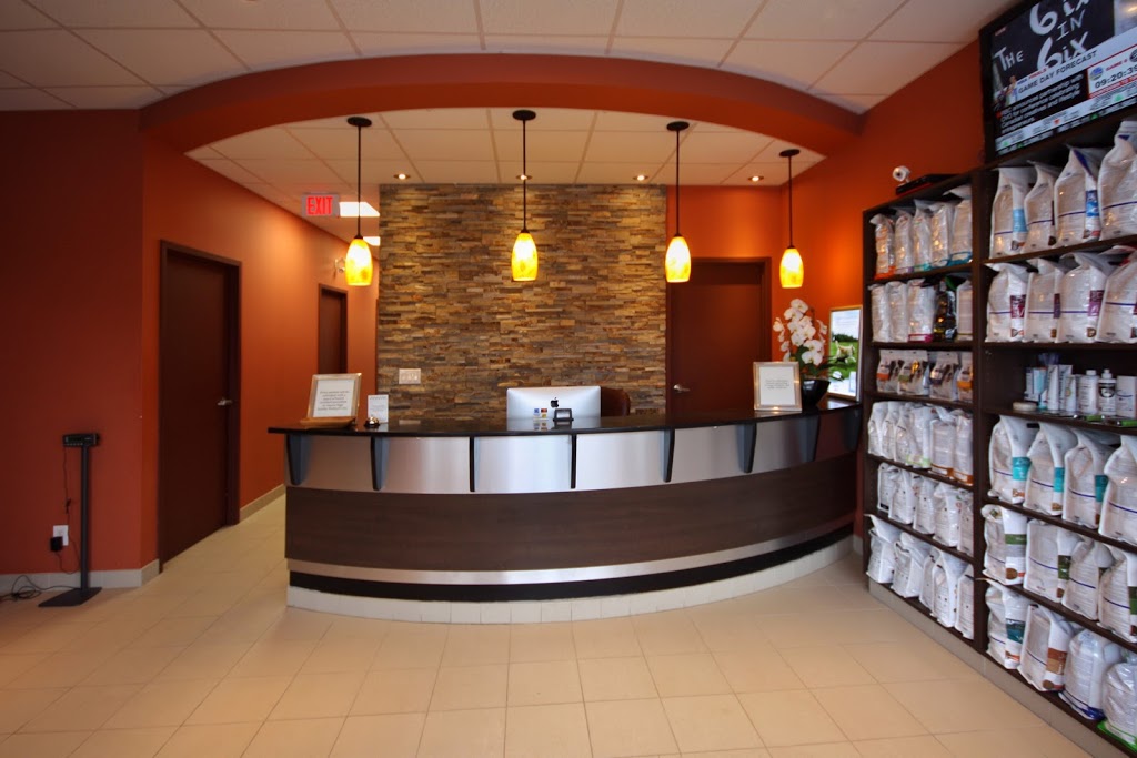 Vellore Woods Veterinary Clinic | 125 Hawkview Blvd, Vaughan, ON L4H 3T7, Canada | Phone: (289) 217-7949