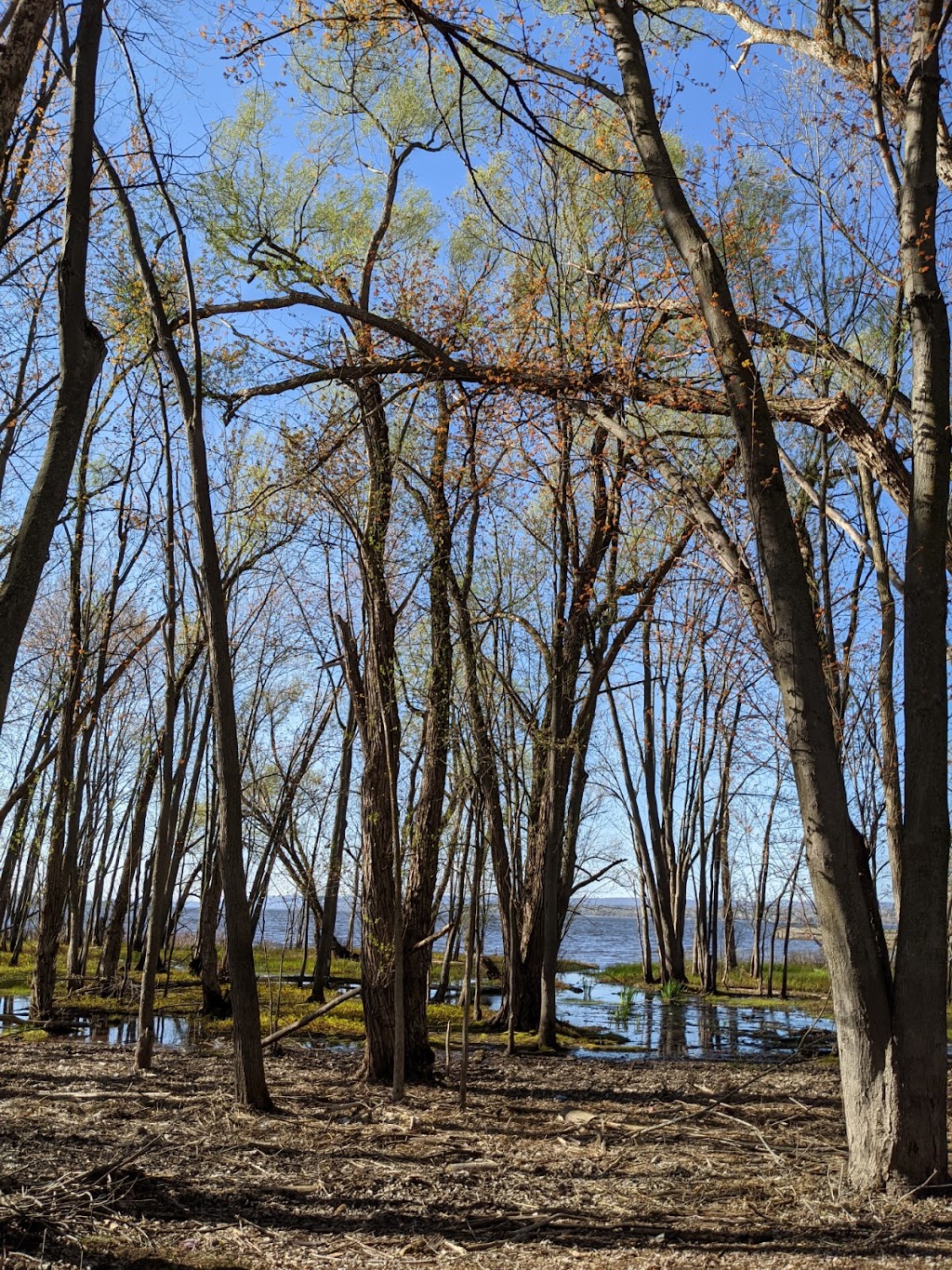 Out to Play Farm and Forest School | Davidsons Side Road, Ottawa, ON K2K 2Z4, Canada | Phone: (819) 318-0759