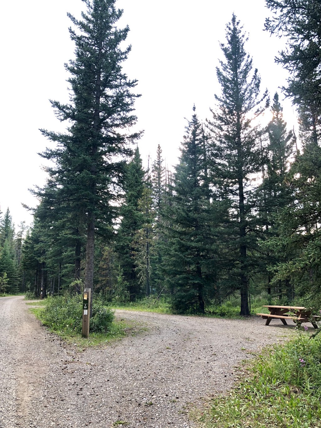 Sibbald Lake Provincial Campground | 7116 AB-68, Bragg Creek, AB T0L 0K0, Canada | Phone: (403) 673-2163