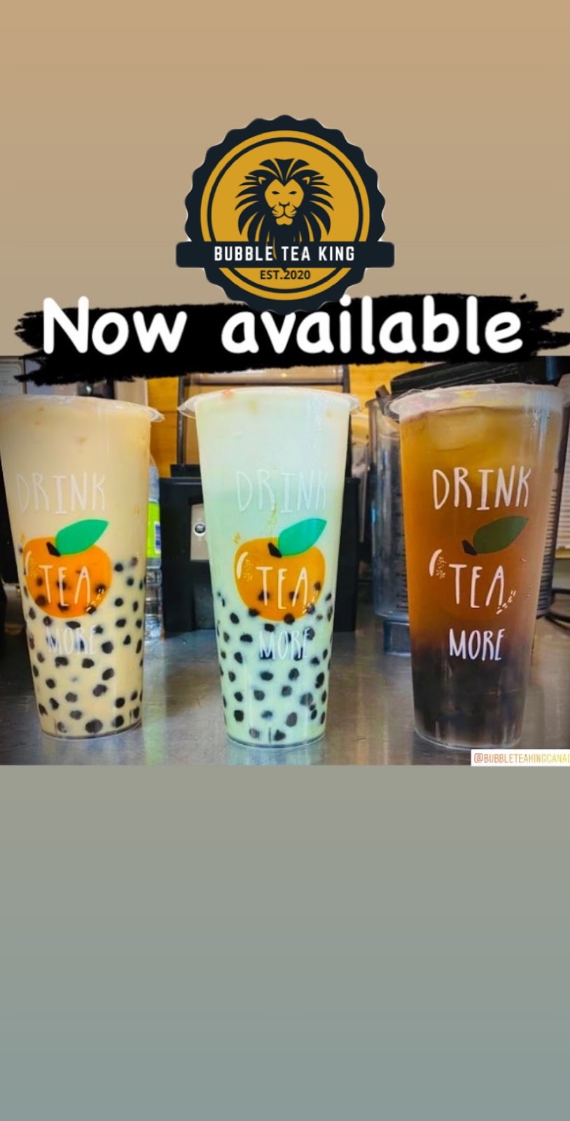 BUBBLE TEA KING (APPLEVIEW PLAZA) | 676 Appleby Line E102AA, Burlington, ON L7L 6J9, Canada | Phone: (289) 337-9187