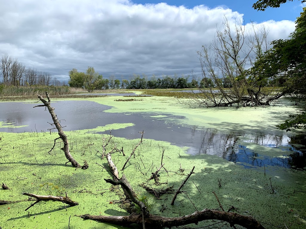 Fish Point Provincial Nature Reserve | McCormick Rd, Pelee Island, ON N0R 1M0, Canada | Phone: (519) 825-4659