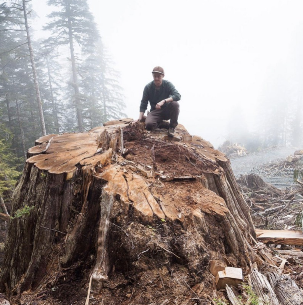 Fairy Creek Blockade HQ | Pacific Marine Rd, Port Renfrew, BC V0S 1K0, Canada | Phone: (250) 387-1715