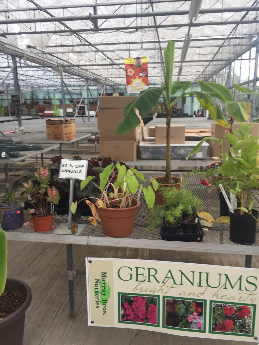 Murray Bros Nurseries and Garden Center | 4399 Transit Rd, Orchard Park, NY 14127, USA | Phone: (716) 662-3860