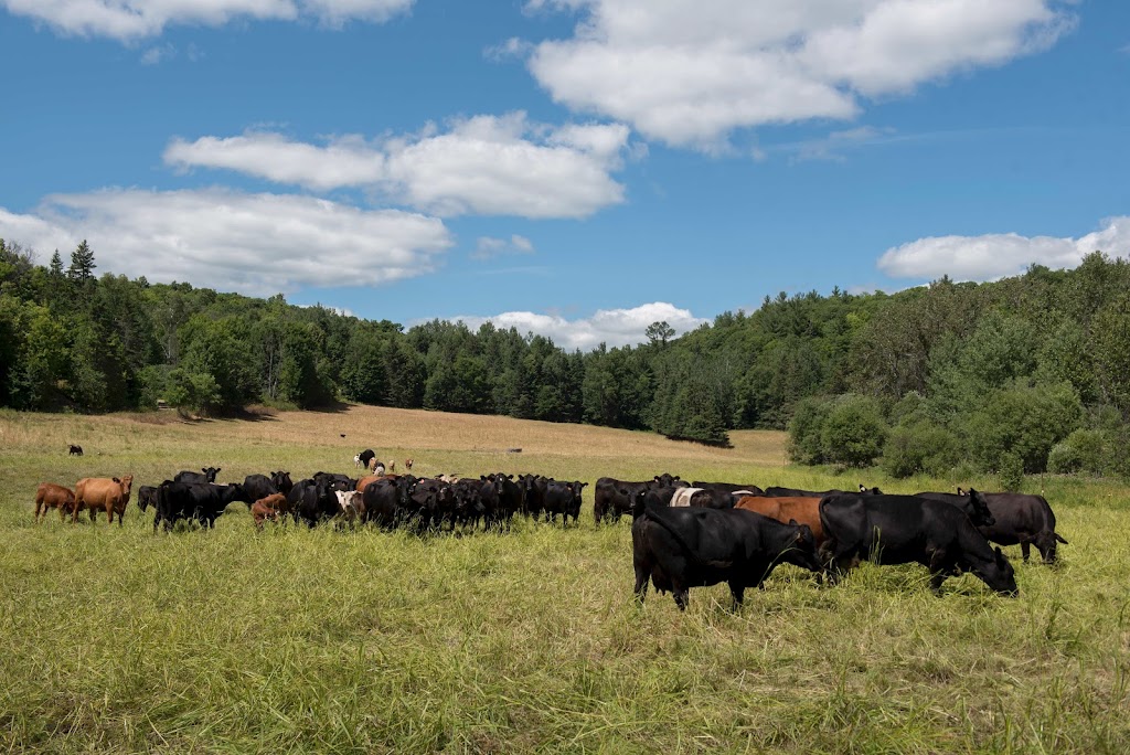 Ferme Le Bel | 201 Chem. Irwin, Alcove, QC J0X 1A0, Canada | Phone: (873) 353-2259