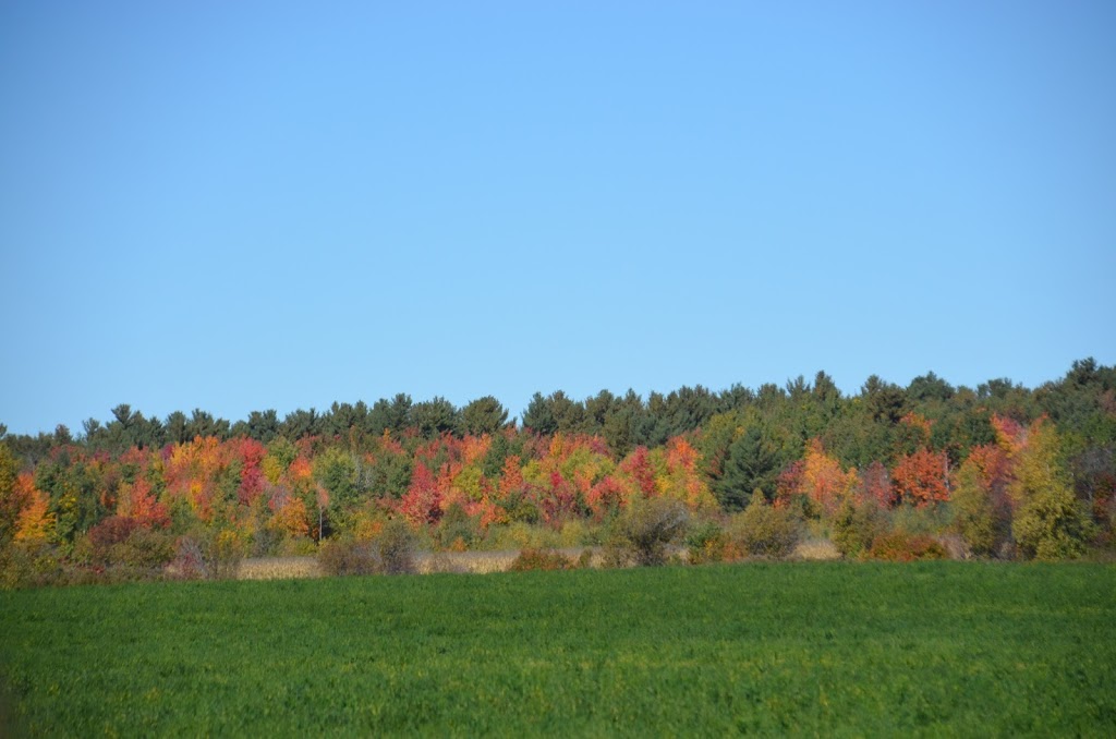 La Brouette à Légumes | 255 Grande Côte E, Lanoraie, QC J0K 1E0, Canada | Phone: (450) 887-1753