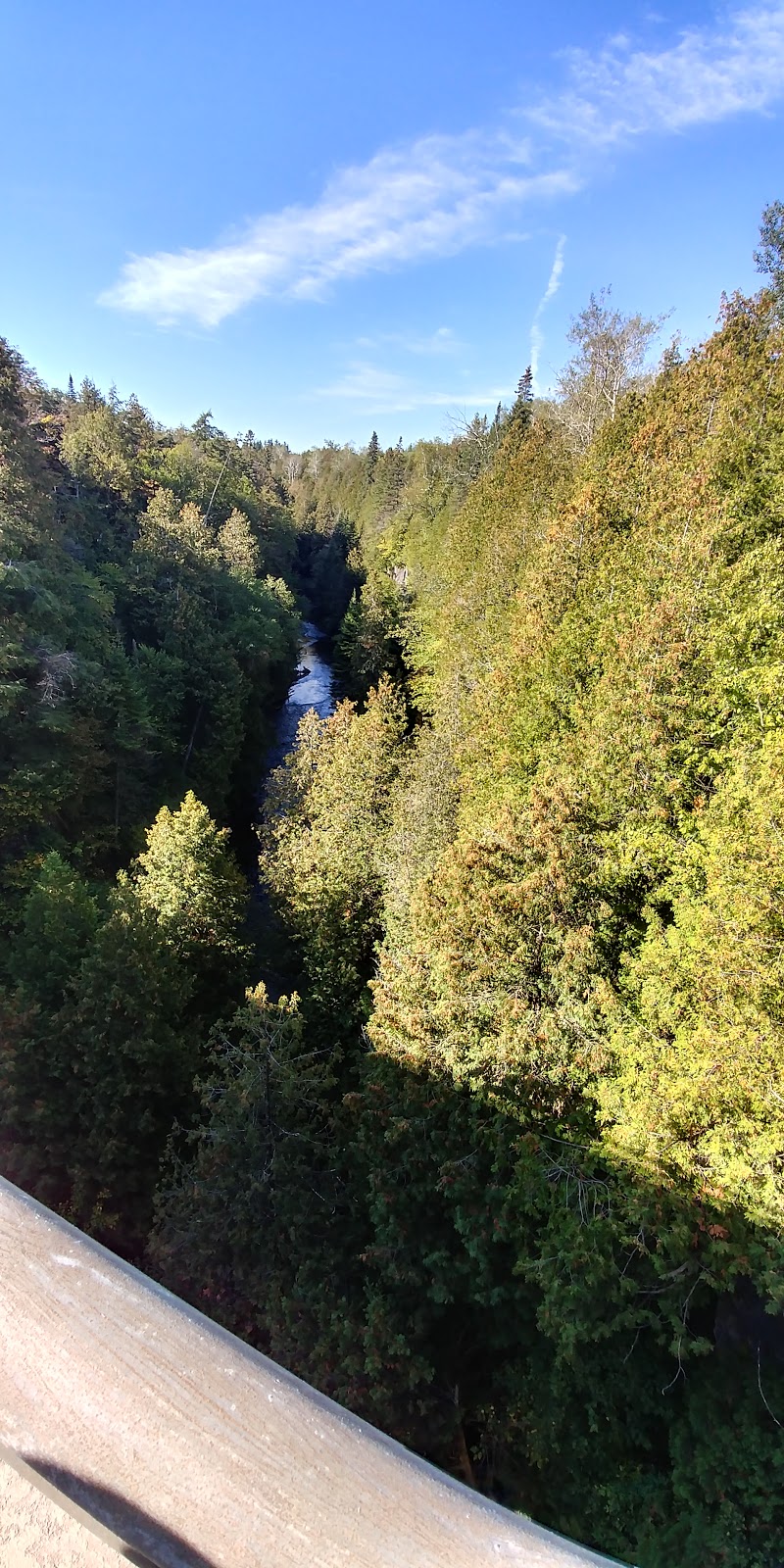 Feversham Gorge - Madeleine Graydon Memorial Conservation Area | 106 River Rd, Feversham, ON N0C 1C0, Canada | Phone: (519) 376-3076