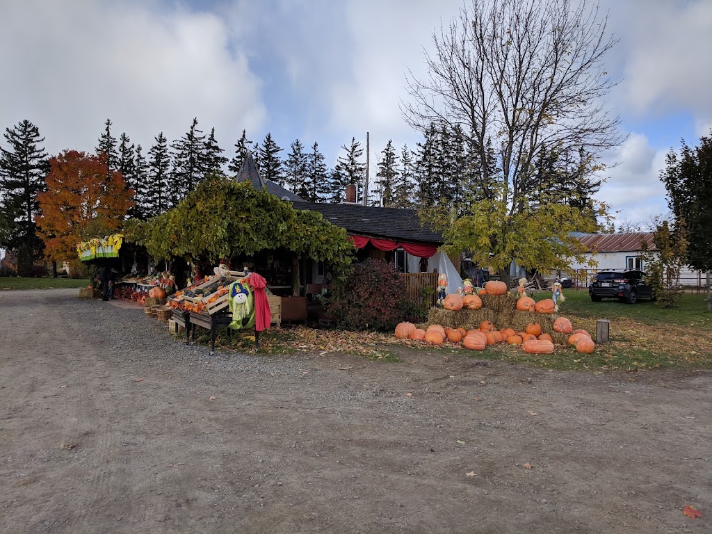 Ferme Roland Cloutier | 855 Chem. Fresnière, Saint-Eustache, QC J7R 0E9, Canada | Phone: (450) 472-8658