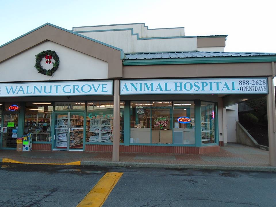 Walnut Grove Animal Hospital | 20995 88 Ave #101A, Langley City, BC V1M 2C9, Canada | Phone: (604) 888-2628