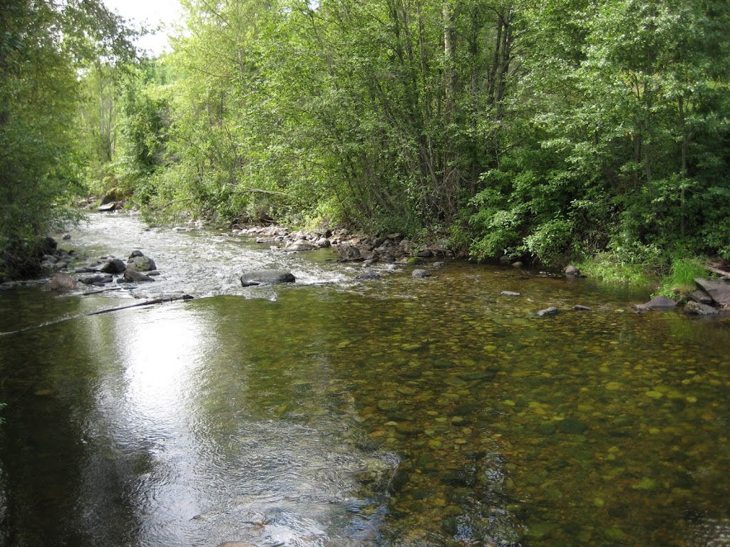 Boundary Creek Provincial Park | Greenwood, BC V0H 1J0, Canada | Phone: (250) 548-0076