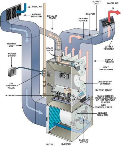 House Services Group | 9883 Hidden Valley Dr NW, Calgary, AB T3A 5K4, Canada | Phone: (403) 401-3041