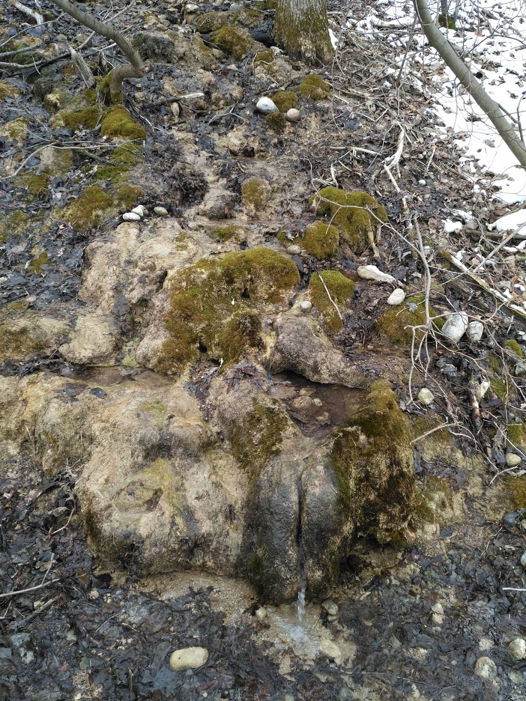 Worlds Smallest Waterfall | 91 E River Rd, Paris, ON N3L 3E1, Canada