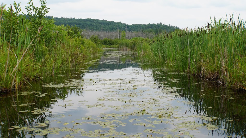 Eco-Odyssee | 52 Chemin des Sources, Wakefield, QC J0X 3G0, Canada | Phone: (819) 459-2551