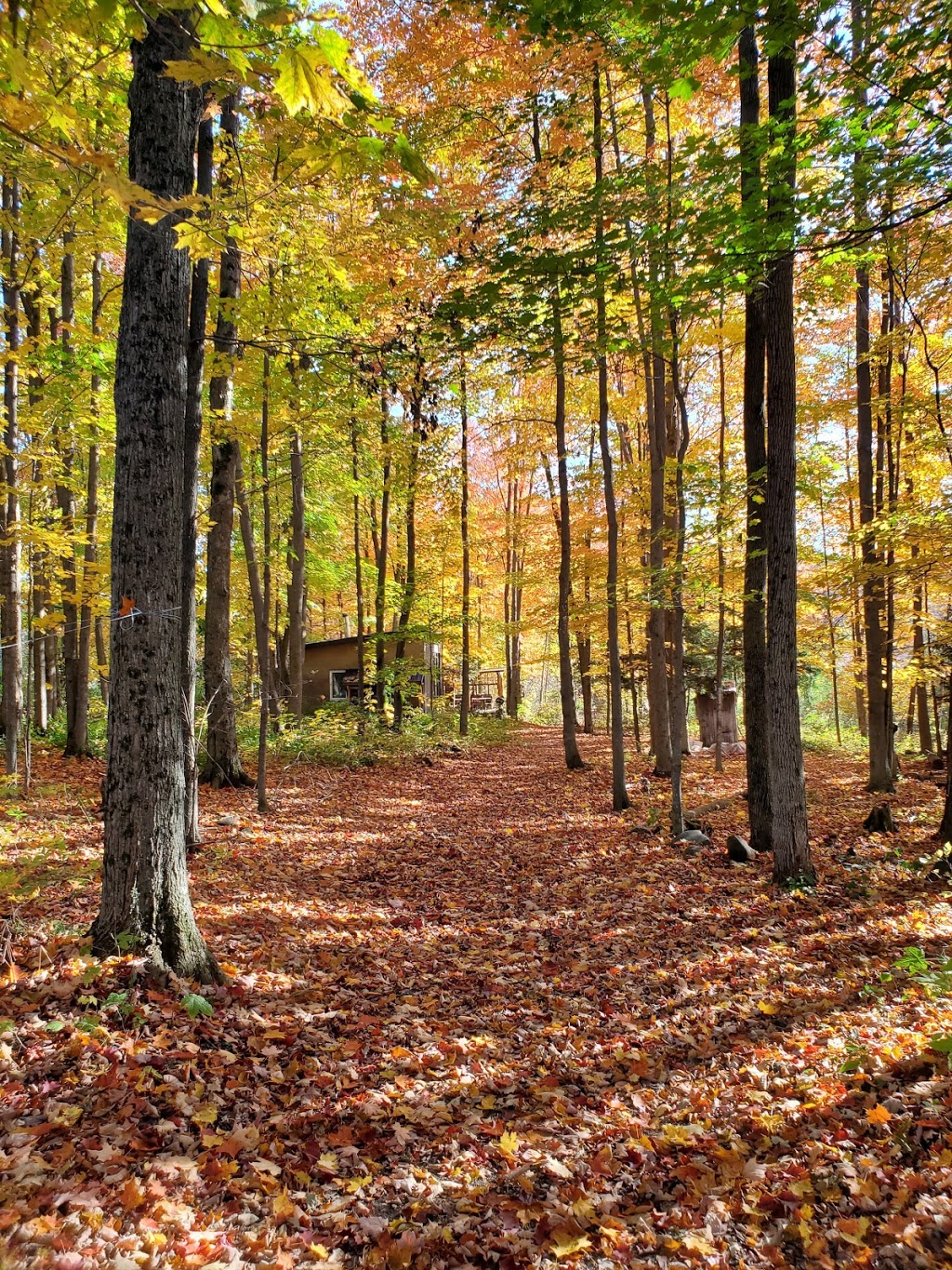 Les Jardins De La Grelinette | 1446 Chemin Guthrie, Saint-Armand, QC J0J 1T0, Canada | Phone: (450) 248-0638