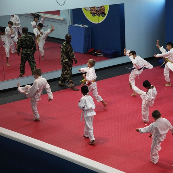 Milton Martial Arts | 509 Main St E, Milton, ON L9T 3J2, Canada | Phone: (289) 851-9000