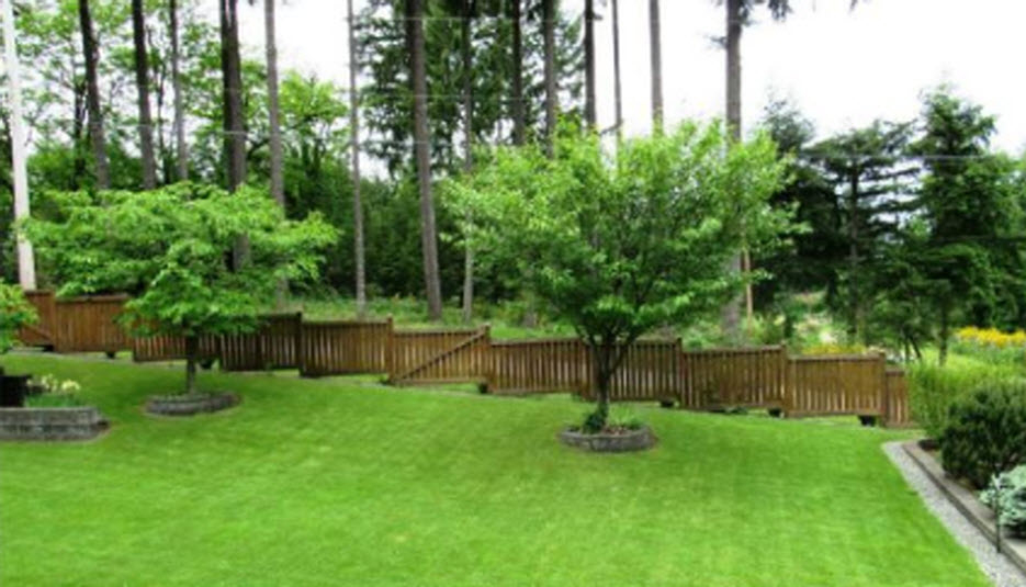Libra Tree Services Ltd | 4945 Waters Rd, Duncan, BC V9L 6S9, Canada | Phone: (250) 748-4449