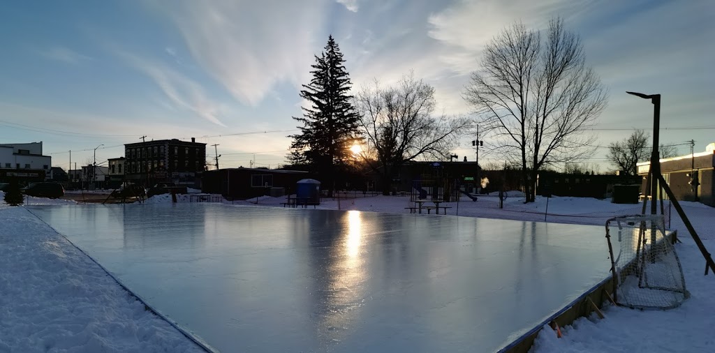 Hastings Outdoor Ice Rink | 15 Front St W, Hastings, ON K0L 1Y0, Canada | Phone: (705) 696-1831